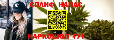 МДПВ Пушкино