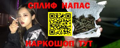 МДПВ Пушкино