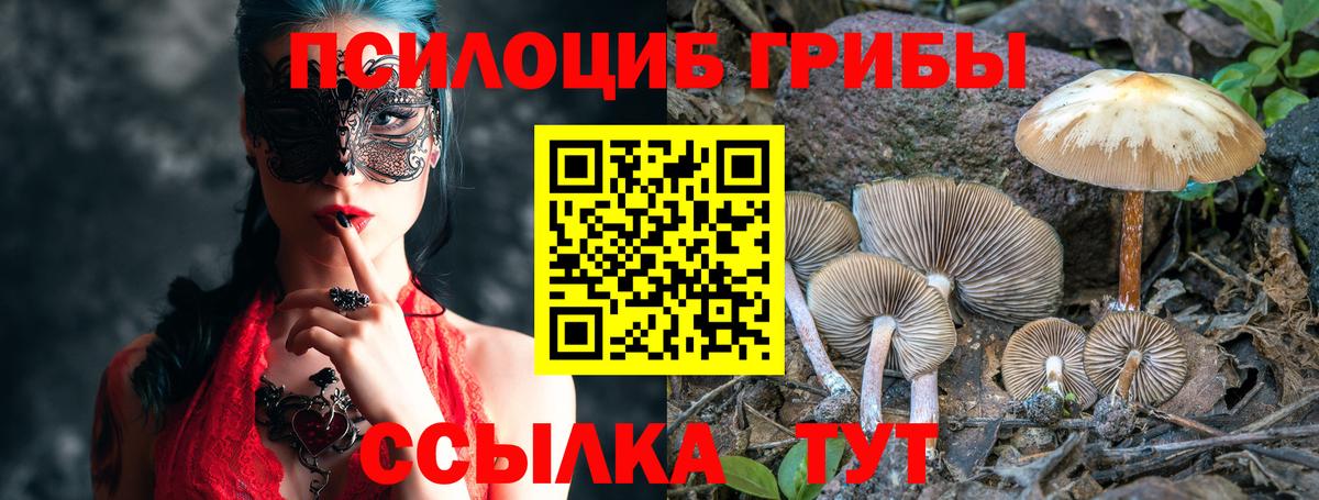 Псилоцибиновые грибы прущие грибы  Вход с VPN  Первоуральск  Галлюциногенные грибы GOLDEN TEACHER 